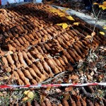 proiectile, grenade, bombe, cartușe (4)