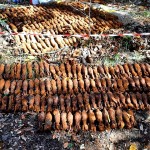 proiectile, grenade, bombe, cartușe (5)