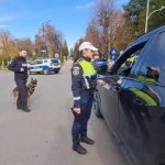 rutiera curtea de arges (1)