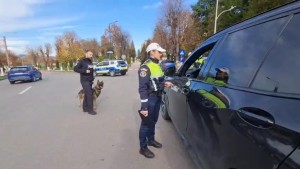 rutiera curtea de arges (1)