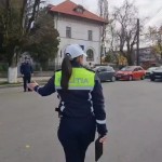 rutiera curtea de arges (2)