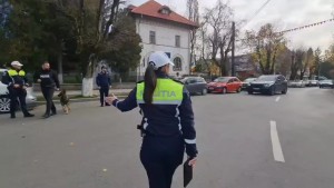 rutiera curtea de arges (2)