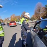 rutiera curtea de arges (3)