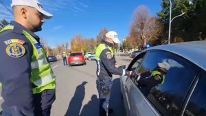 rutiera curtea de arges (3)