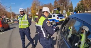 rutiera curtea de arges (4)