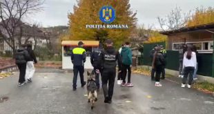 siguranta scolara Campulung (2)