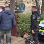 siguranta scolara Campulung (4)