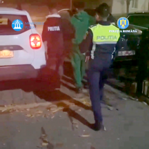 talharie costesti (3)