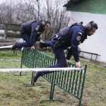 1 decembrie 2025 (12)