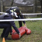 1 decembrie 2025 (8)