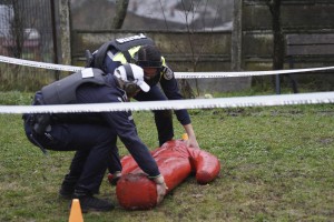 1 decembrie 2025 (8)