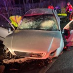 Accident mortal Lunca Corbului (2)