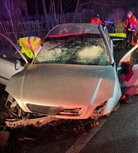 Accident mortal Lunca Corbului (2)