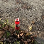 Accident mortal cu pieton, la Câmpulung (2)