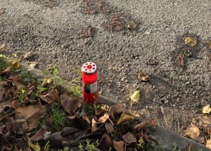 Accident mortal cu pieton, la Câmpulung (2)