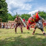 Castrul Roman Jidova (6)