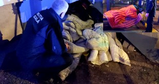 Persoane-fără-adăpost-Pitești-1