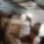 articole pirotehnice confiscate (4)