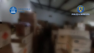 articole pirotehnice confiscate (6)