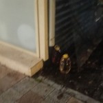 au spart o căsuță din Târgul de Crăciun- pitesti (3)