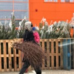 cersatori pitesti (1)