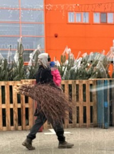 cersatori pitesti (1)