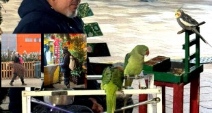 cersatori pitesti (3)