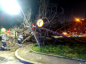 copaci cazuti carosabil pitesti (1)