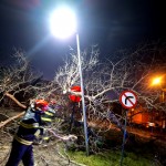 copaci cazuti carosabil pitesti (6)