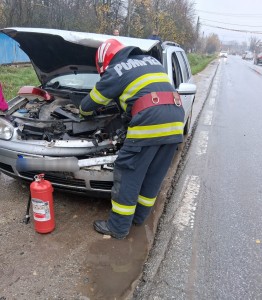 f7780dde-41d5-4a85-9d08-cc317a1e4295