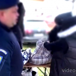 haine contra facute (1)