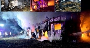 incendiu hala buzoesti (3)