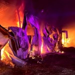 incendiu hala buzoesti (4)