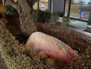 incendiu pitesti (5)