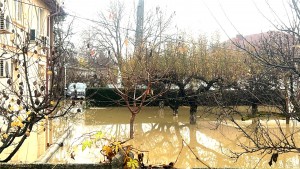 inundatii arges (2)