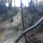 perchezitii arges (3)