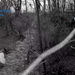 perchezitii arges (4)