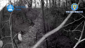 perchezitii arges (4)