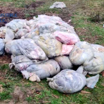 perchezitii arges (5)