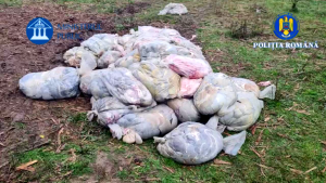 perchezitii arges (5)