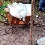 perchezitii arges (6)