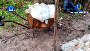 perchezitii arges (6)