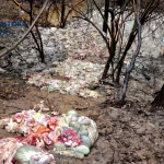 perchezitii arges (9)