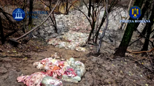 perchezitii arges (9)