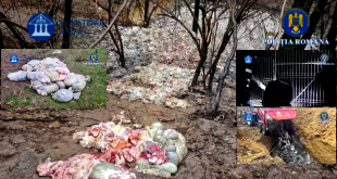 perchezitii arges (9)