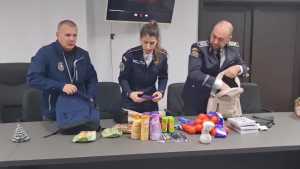 saruri de craciun (1)