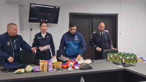 saruri de craciun (2)