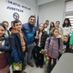 saruri de craciun (5)