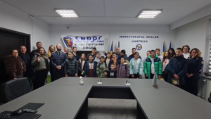 saruri de craciun (6)