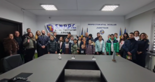 saruri de craciun (6)